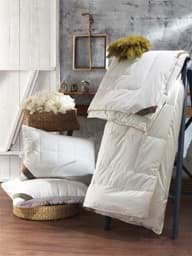 Show details for JEREED HOME TEK KİŞİLİK ORGANİK DELUXE YÜN YORGAN Picture of JEREED HOME TEK KİŞİLİK ORGANİK DELUXE YÜN YORGAN